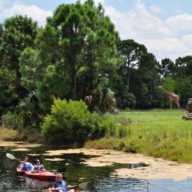 Brevard Zoo kayaking by wildlife