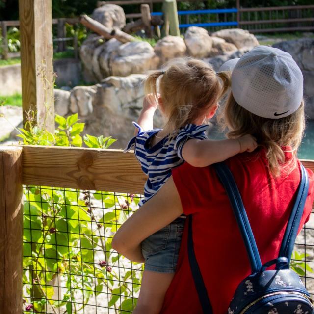 Guests watch a rhino at the Central Florida Zoo & Botanical Gardens