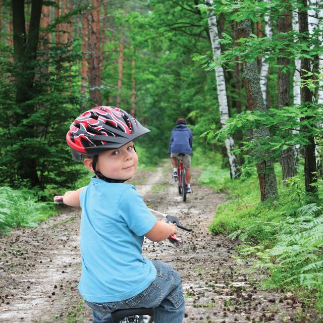 Father and son cycling on a green forest path