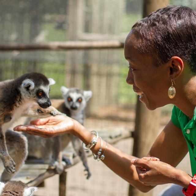 Giraffe Ranch lady feeding a lemur