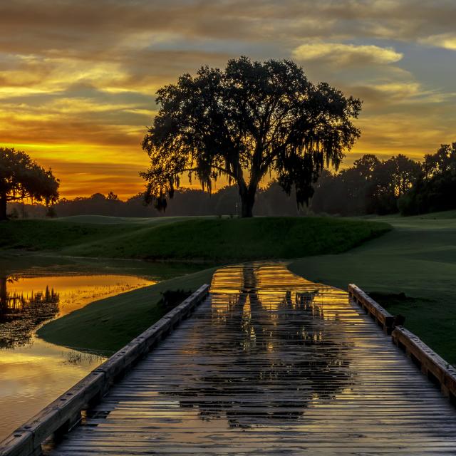 Grand Cypress Florida Course sunrise at Evermore Orlando Resort
