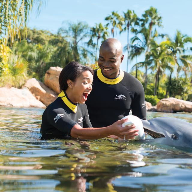 Discovery Cove proposal help from dolphin