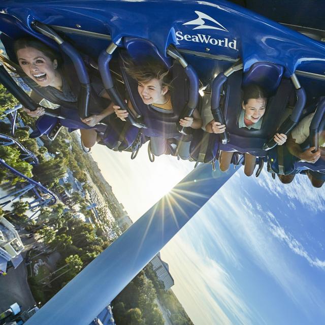 Action shot of a family of four riding the Manta rollercoaster in SeaWorld Orlando