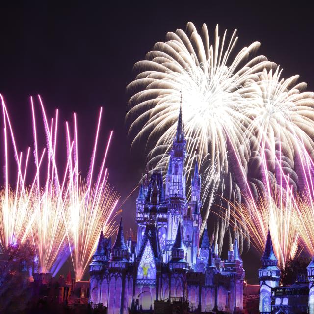 The fireworks show over Cinderella's Castle at the Magic Kingdom in the Walt Disney World Resort.