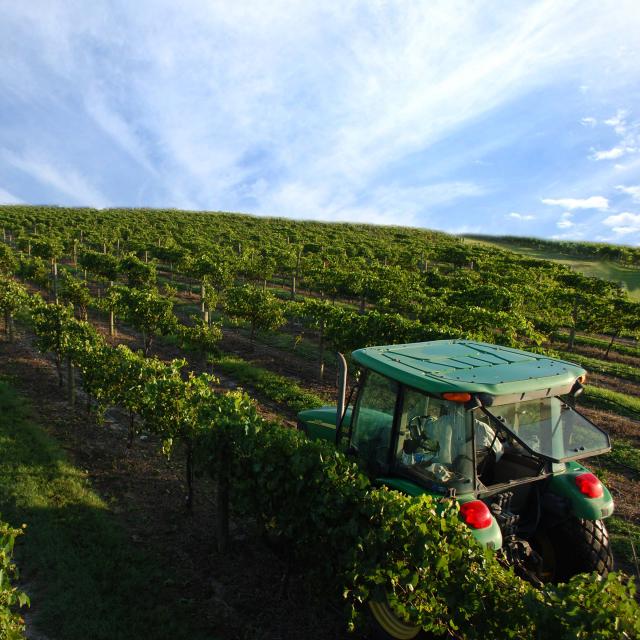 A tractor tending to the fields at Lakeridge Winery & Vineyards.