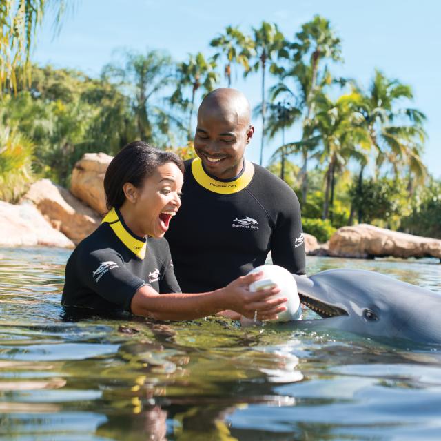 Discovery Cove proposal help from dolphin