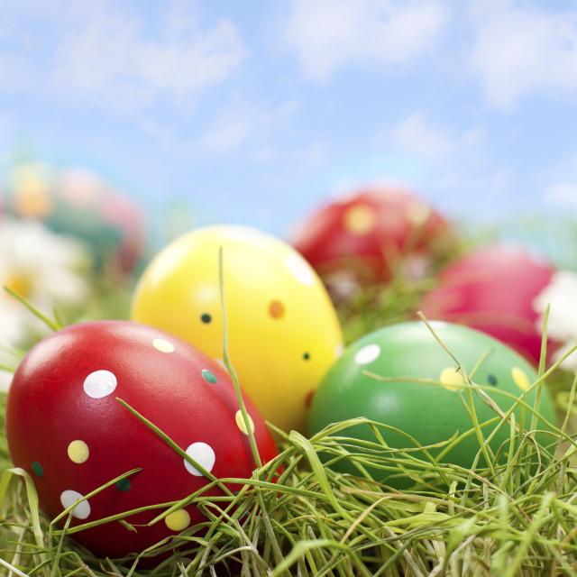 closeup of decorated easter eggs laying in the grass