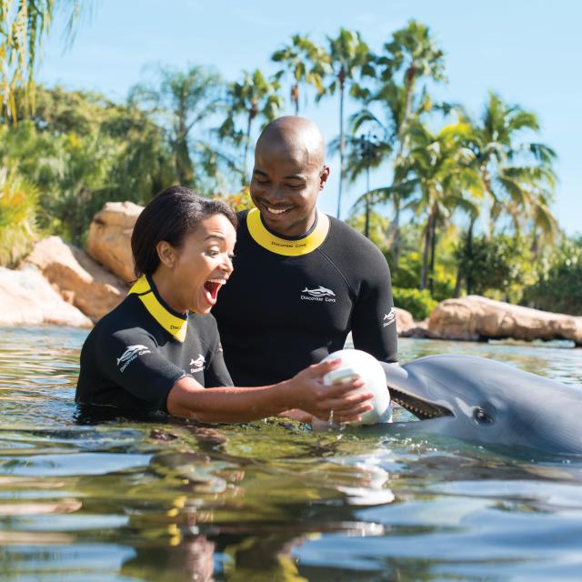 Discovery Cove proposal help from dolphin