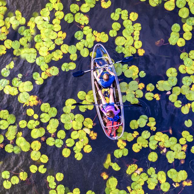Aerial view of a kayak on a lake in Winter Park