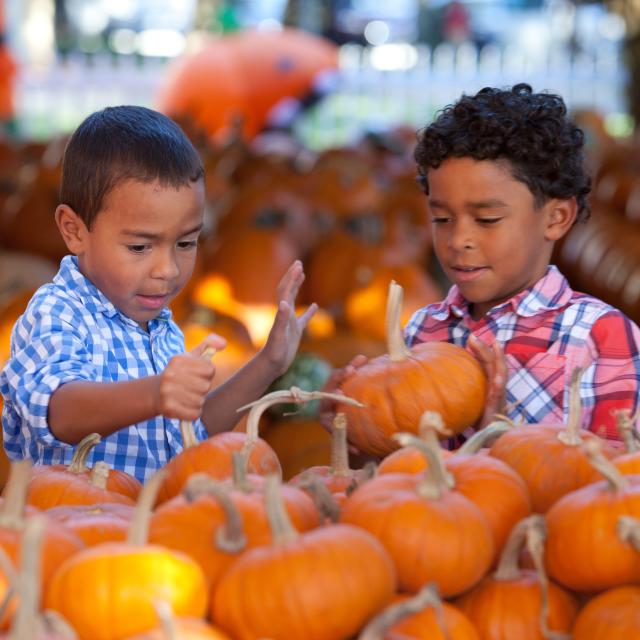 Celebration Town Center falling leaves kids pumpkins