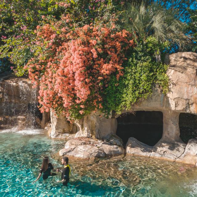 A couple in the water of Serenity Bay at Discovery Cove®