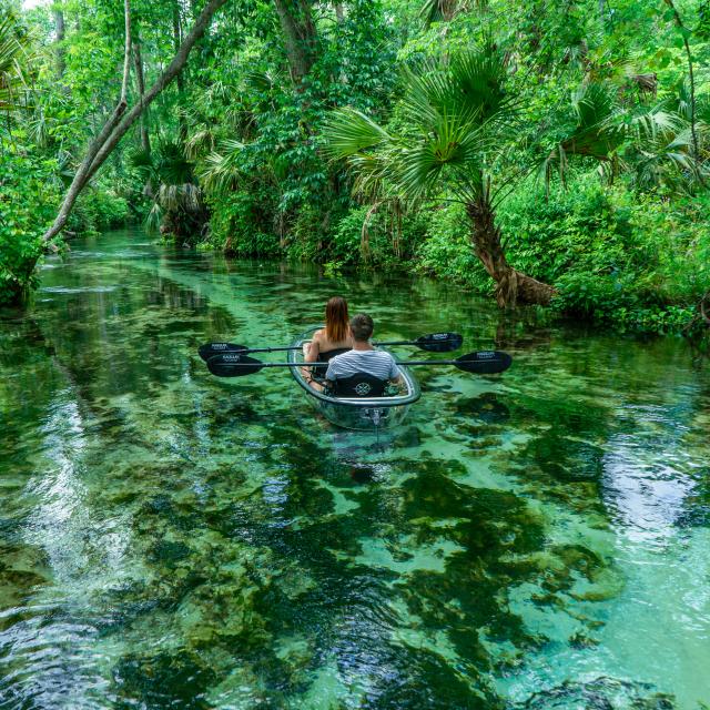 Orlando Outdoors & Ecotourism  Tours, Springs & Nature Parks