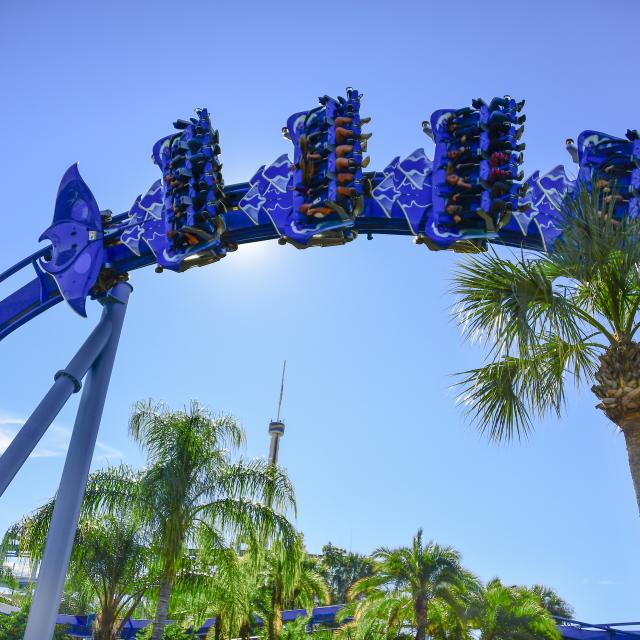Ground view of the Manta roller coaster at SeaWorld Orlando