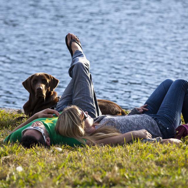 a couple laying in the grass with their dog along the banks of Lake Eola