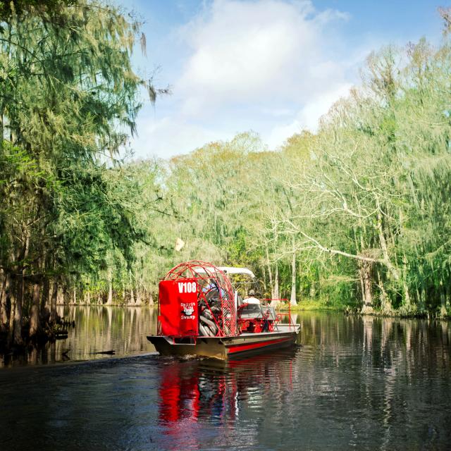 A guided tour with Spirit of the Swamp Airboat Rides, as they navigate a waterway between the cypress trees.