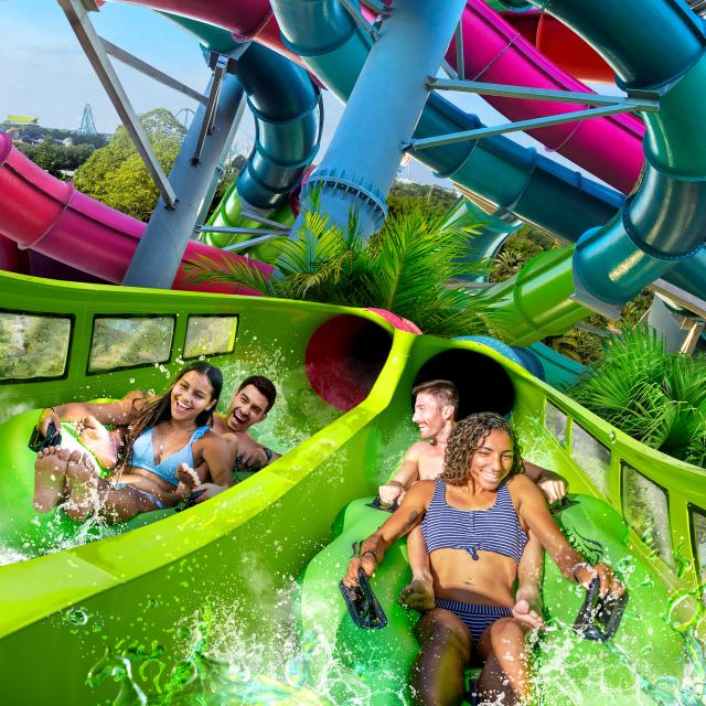 Riptide Race at Aquatica® Orlando