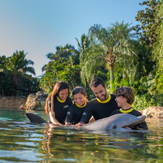 Discovery Cove in Orlando Guide to the AllInclusive Day Resort