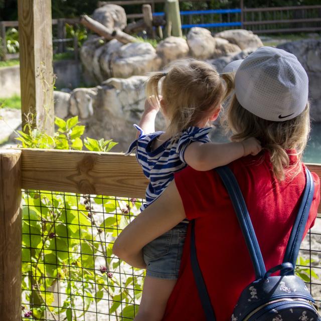 Central Florida Zoo & Botanical Gardens guests looking at rhino