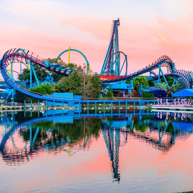 SeaWorld® Orlando mako sunset