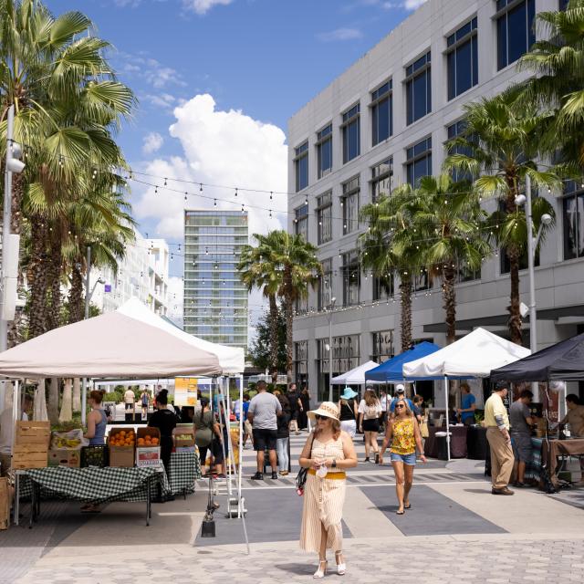 Lake Nona Farmer's Market