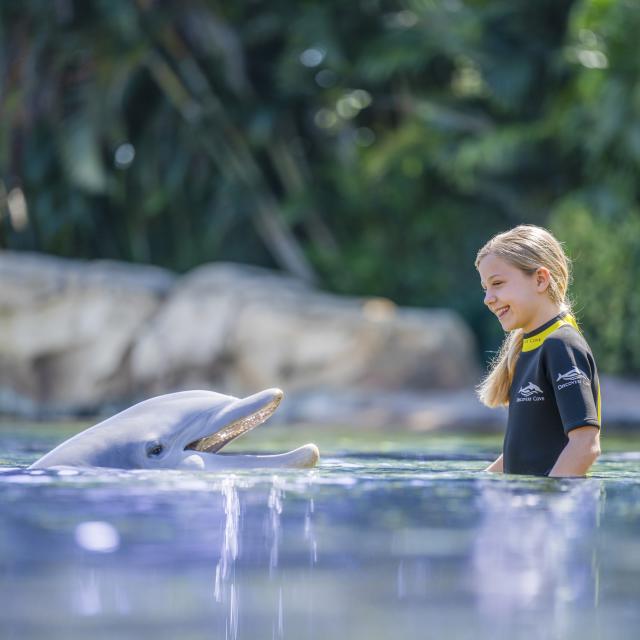A dolphin greets a young girl in waist deep water at Discovery Cove in Orlando