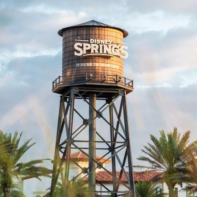 Water tower at Disney Springs®