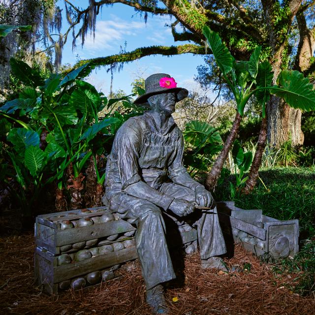 Statue at Harry P. Leu Gardens