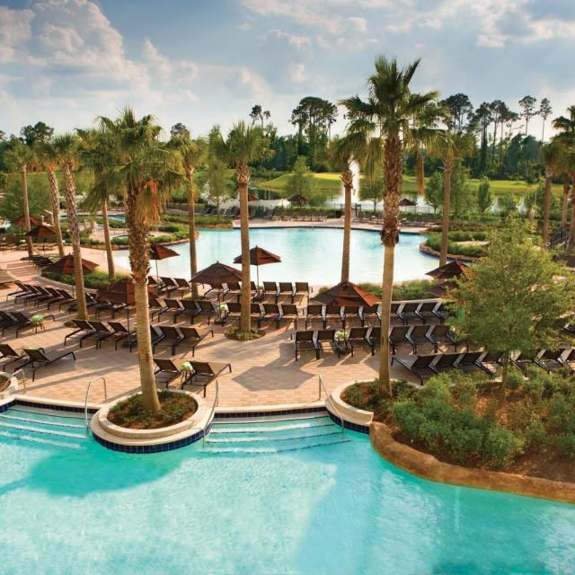 Hilton Orlando Bonnet Creek pool