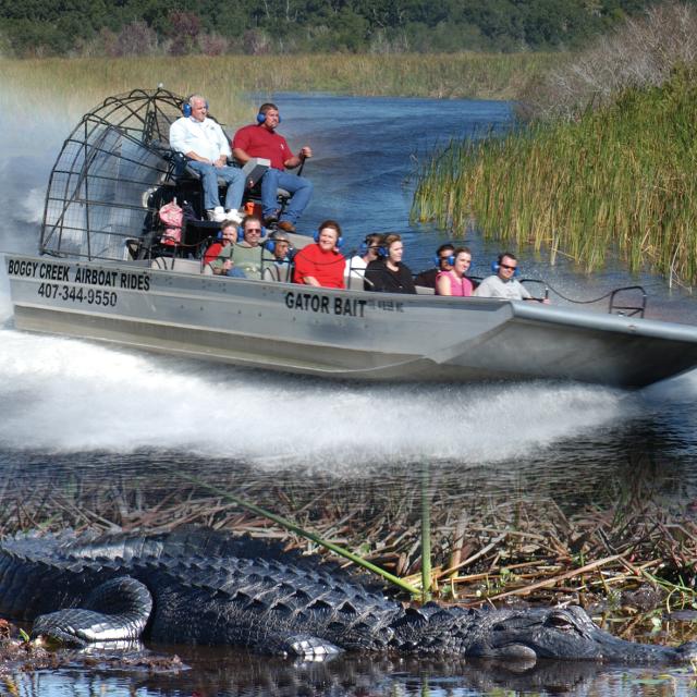Boggy Creek Airboat Rides at Southport Park airboat and alligator