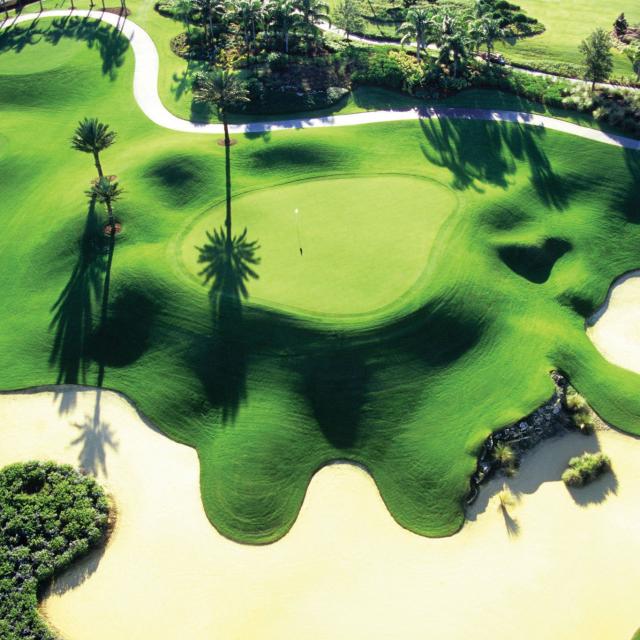 Reunion Resort Golf Courses overhead of Palmer Course