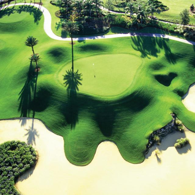 Reunion Resort Golf Courses overhead of Palmer Course