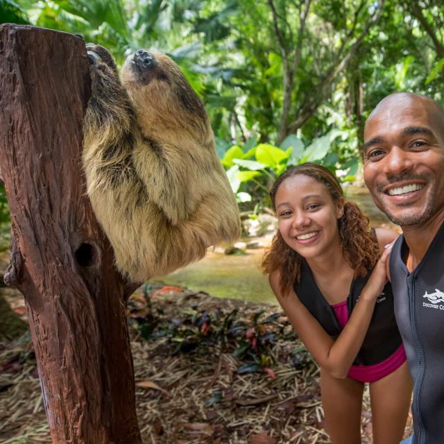 A couple with a sloth at Discovery Cove Animal Trek