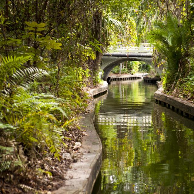 A canal along the Winter Park Scenic Boat Tour, near Orlando.