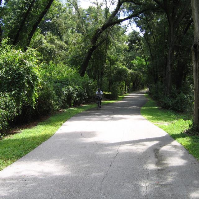 A bicyclist on the West Orange Trail in Orlando during the day