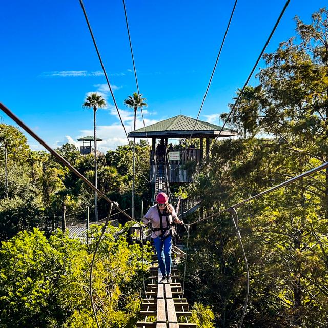 Gatorland zipline adventure