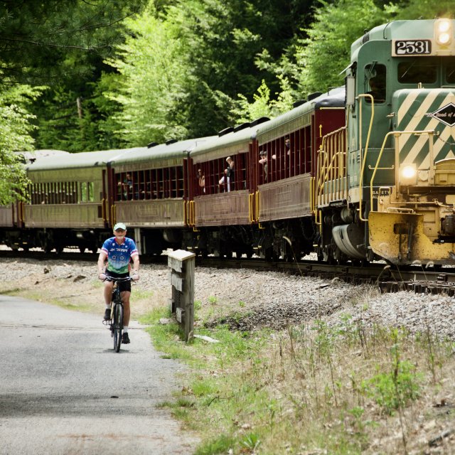 Man biking along the Lehigh Gorge Rail Trail