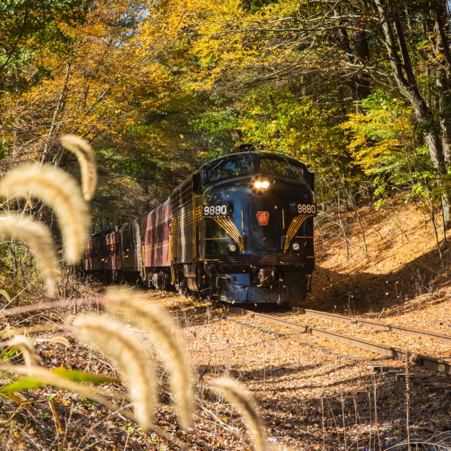 A train riding the rails capturing the fall scenery.
