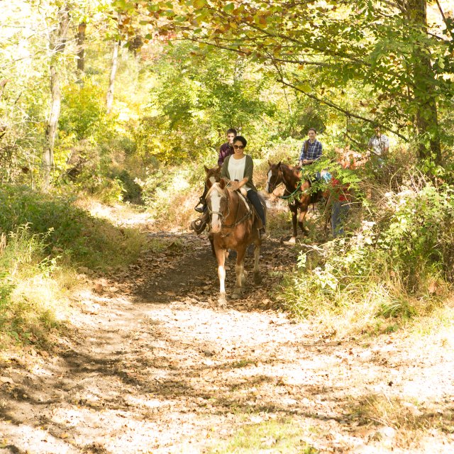 Horseback Riding at Fernwood Resort in the Pocono Mountains