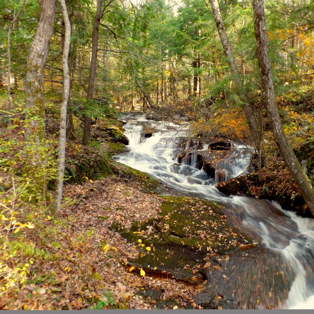 Get out and explore the Poconos in autumn