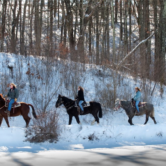 Winter Trail Ride - Horseback Riding in the Poconos