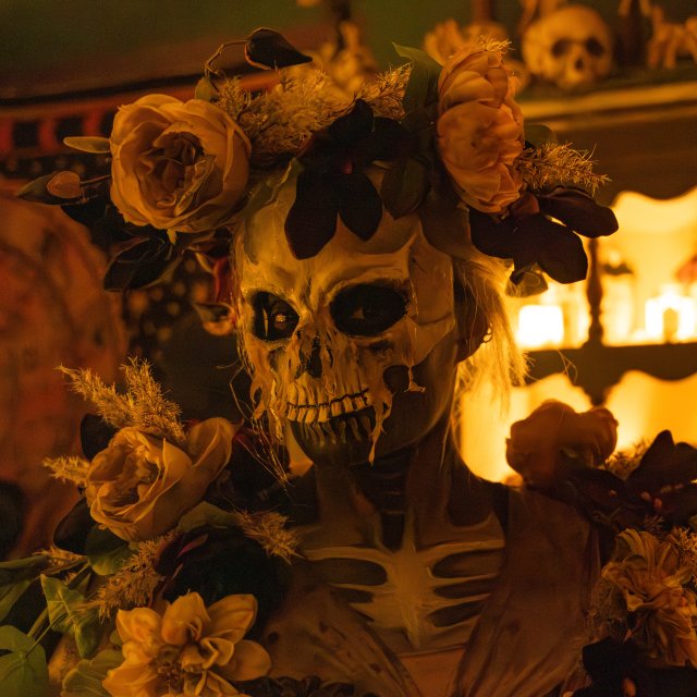 Skeleton dressed up for Halloween