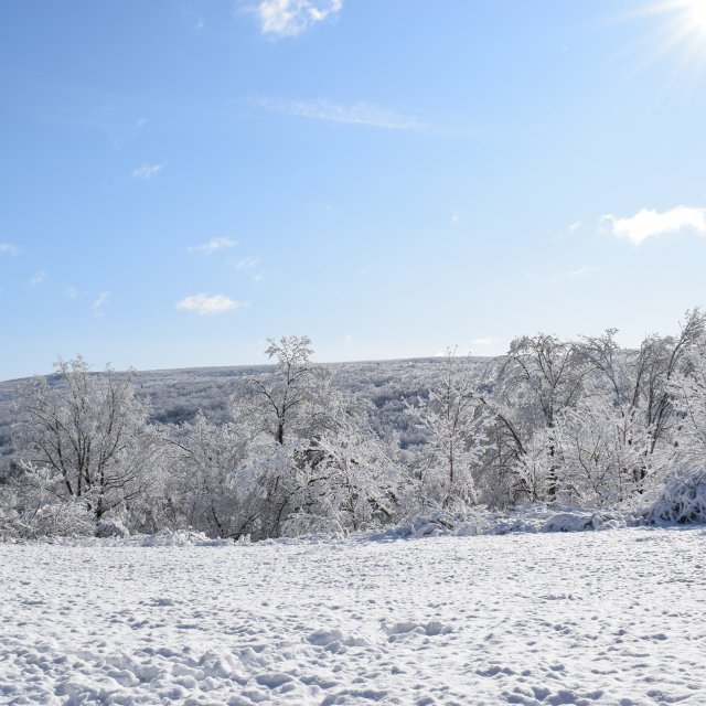 Explore the beauty of the Pocono Mountains