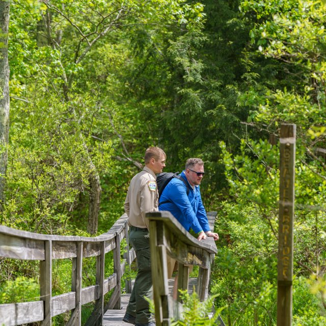 Two people talking on a bridge in a state park