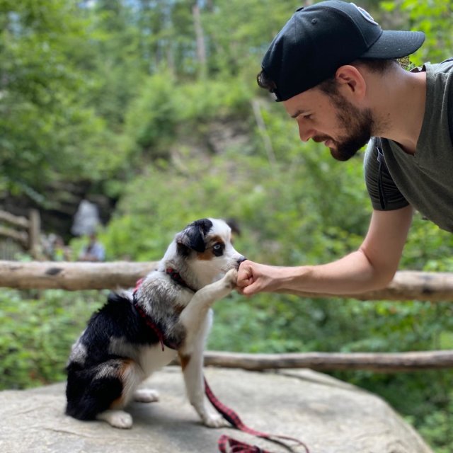 A dog fist bumping its owner