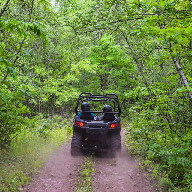 People riding an off road vehicle on a path in the woods surrounded by trees