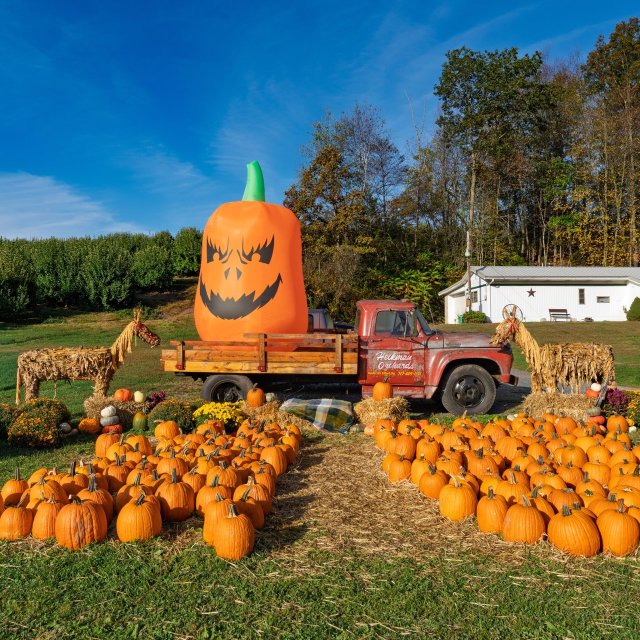 A display of pumpkins with a decorated tractor at an orchard during the fall season.