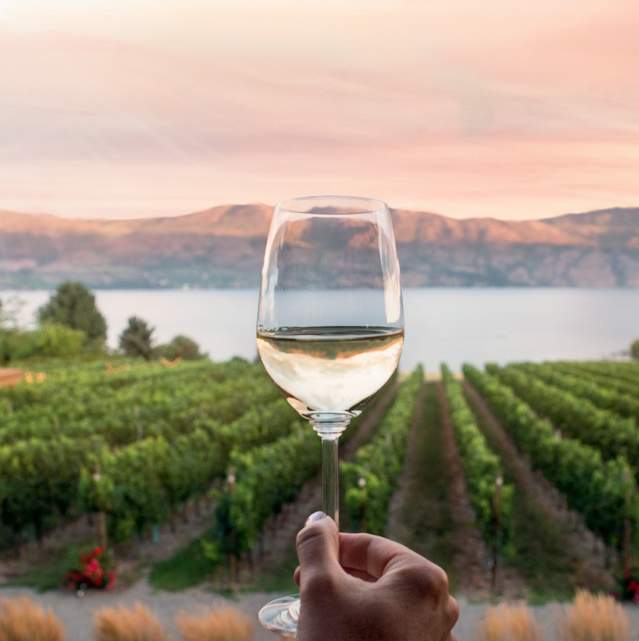 Wine Glass with View Horizontal