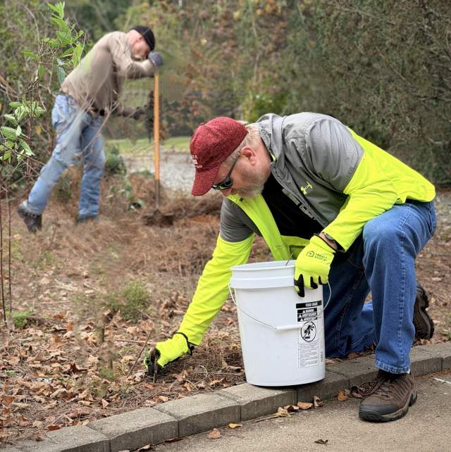 Park Stewardship, St. Stephen's Park October 2026
