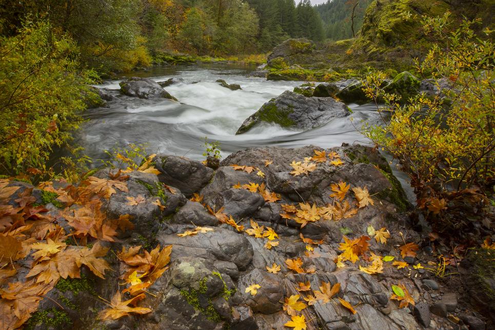 Blue River in the Fall by David Putzier