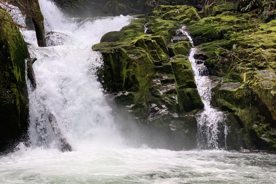 Sweet Creek Falls